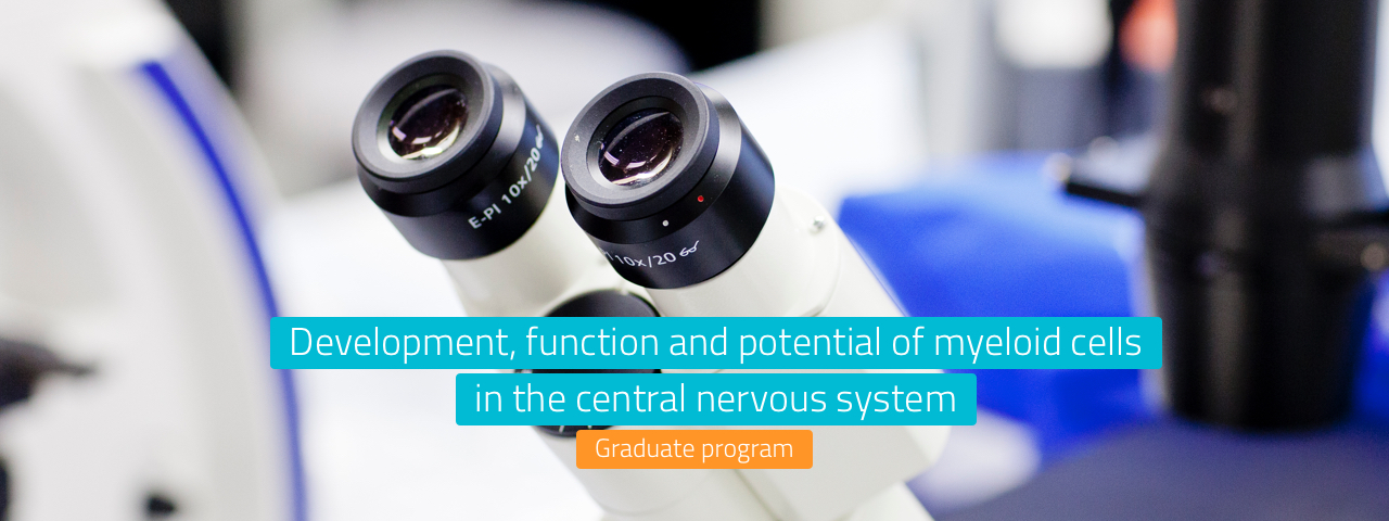 Development, function and potential of myeloid cells in the central nervous system.