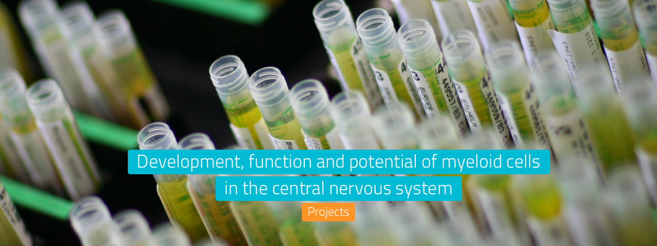 Development, function and potential of myeloid cells in the central nervous system.