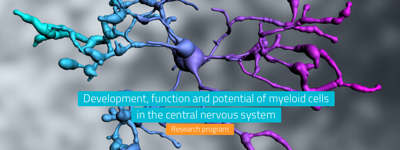 Development, function and potential of myeloid cells in the central nervous system.